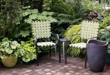 Shades of green and black border the pavers in the front garden.