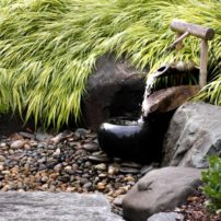 The shishi-odoshi's spout hits a rock as it empties a water load with a distinct clacking noise. The water flows down into a bowl where it overflows into a catch basin hidden under the rocks.