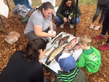 Biologist sharing salmon anatomy with budding scientists