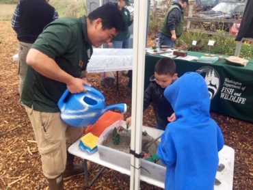 A Washington Department of Fish and Wildlife biologist building a watershed