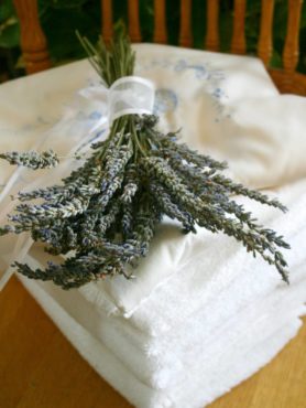 Winter Skin Care with Herbs