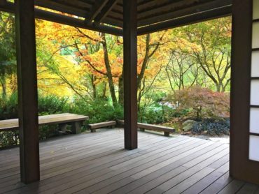 Bellevue Botanical Garden — view from the Tateuchi Pavilion