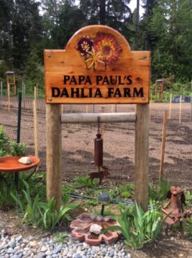 Papa Paul's Dahlia Farm