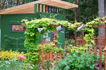 Garden Sheds