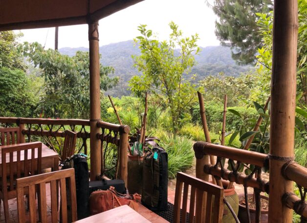 Chiumbi Gorilla Lodge