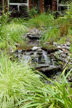 Water feature