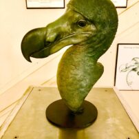 The dodo bird, extinct since 1662