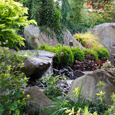 WSMAG.NET | Rain Garden at the Heart of Dream Northwest Landscape ...