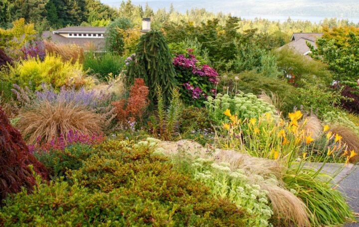 Garden Cornucopia