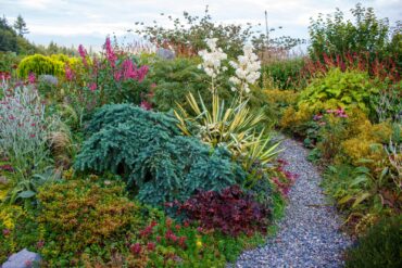 Garden Cornucopia