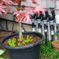 Watering system