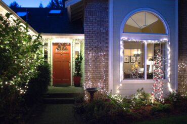 Christmas Lights and Cookie Delights