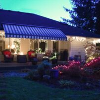 Christmas Lights and Cookie Delights