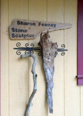 Sharon Feeney