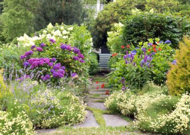 The Joy of Gardening