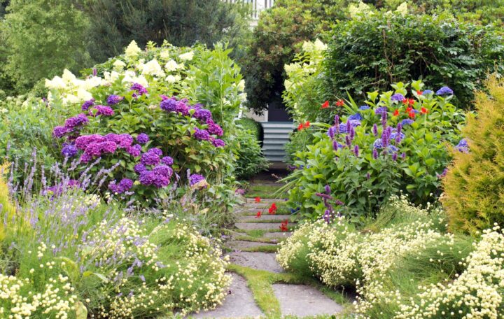 The Joy of Gardening