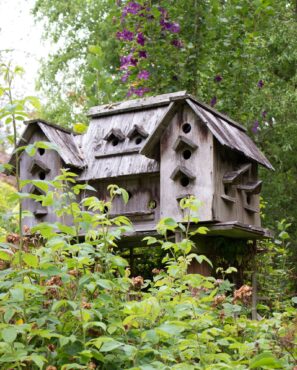 The Joy of Gardening