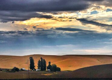 Pullman, Washington