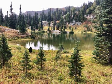 Hiking in Packwood, Washington