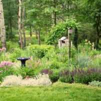 Include habitat features in your garden and landscape that are needed to attract and sustain the wildlife you are trying to attract. (Photo courtesy of MelindaMyers.com)