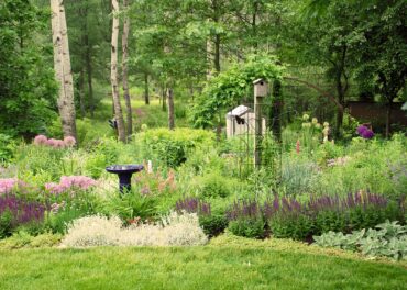 Include habitat features in your garden and landscape that are needed to attract and sustain the wildlife you are trying to attract. (Photo courtesy of MelindaMyers.com)