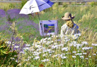 Pat Meras painting in a daisy and lavender field