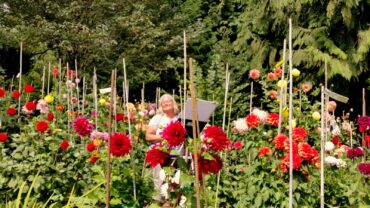 Cathie Johnson painting en plein aire