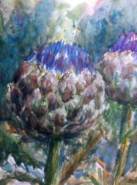 "Artichoke," watercolor by Cathie Johnson