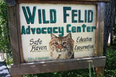 Wild Felid Advocacy Center