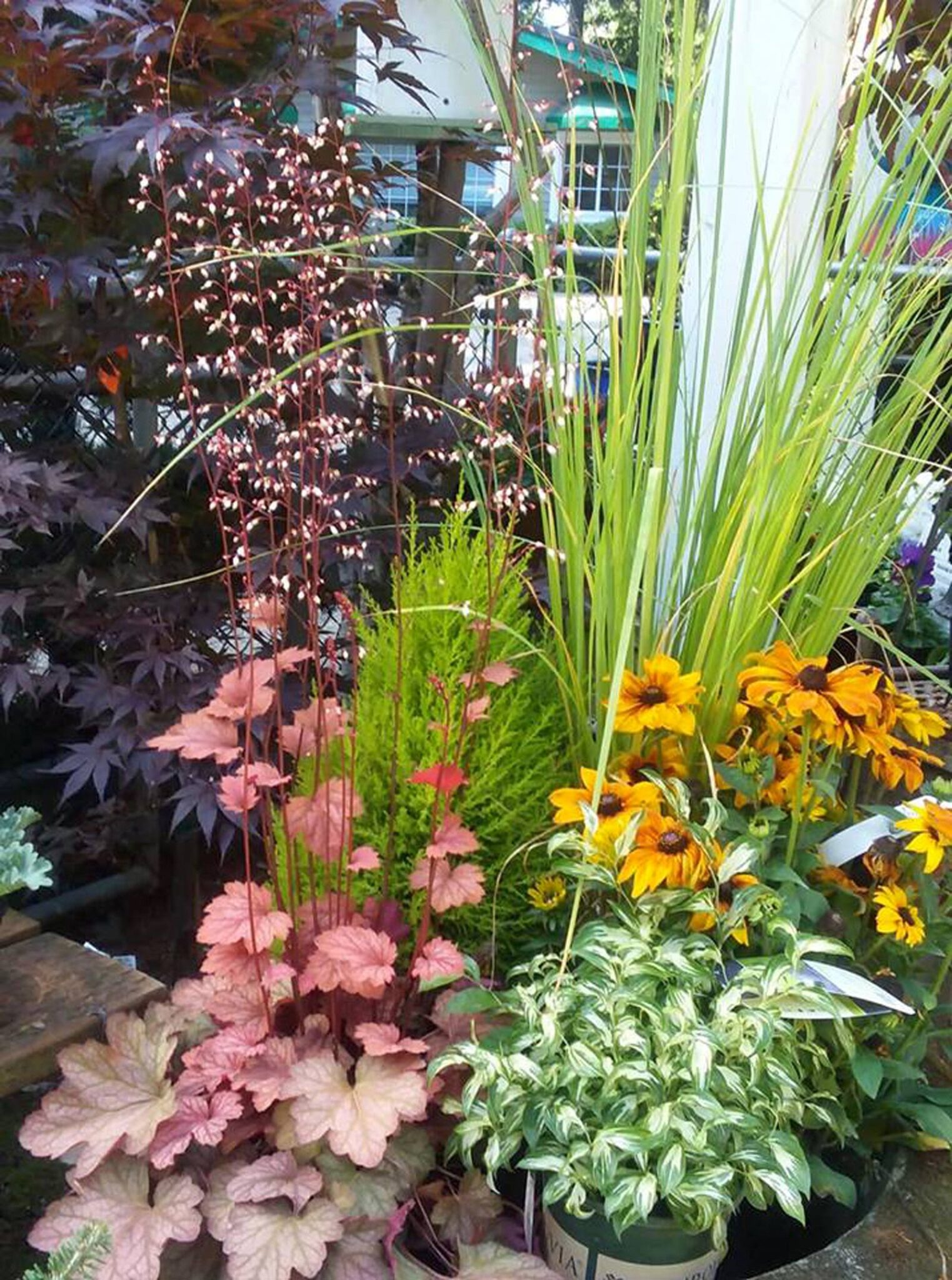 The Inspirational Rosedale Gardens and Nursery Featured