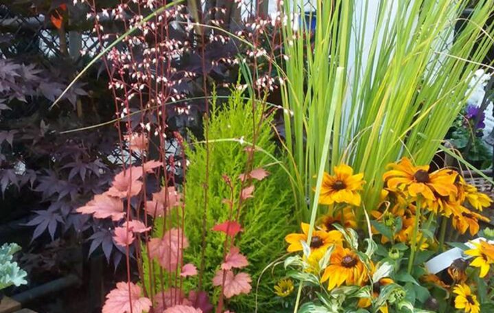 Rosedale Gardens
