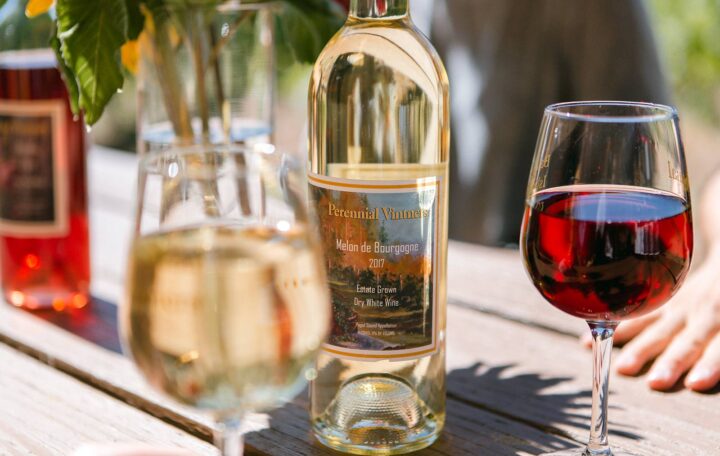 Perennial Vintners Melon de Bourgogne (Photo courtesy Jefte Sanchez)