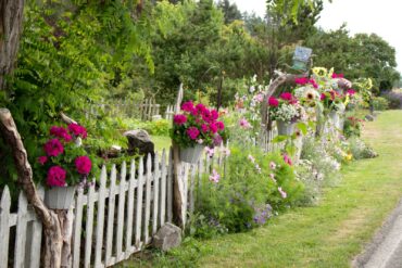 Rustic Fence