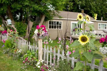 Rustic Fence