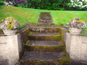 Old concrete stairs accented by moss