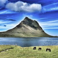 Kirkjufell with Icelandic horses