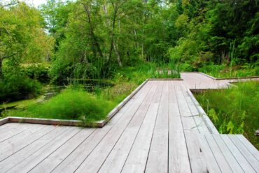 The boardwalk over wetlands along the bird marsh