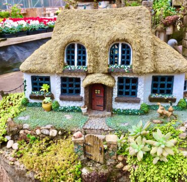 Fairy house