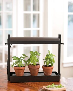 Artificial lights ensure herbs receive enough bright light to successfully grow indoors. (Photo courtesy of Gardener's Supply Company/gardeners.com)