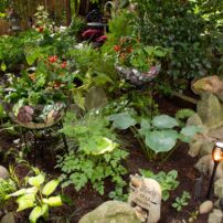 The Garden of Bill and Arlene West