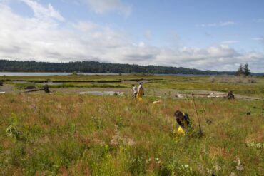 Great Peninsula Conservancy