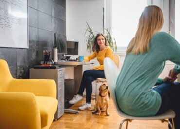 office dogs