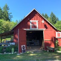 Petal and Pitchfork barn