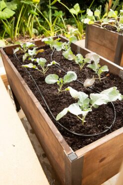 Raised Bed Drip Line Irrigation Kits with closer drippers are more effective at watering small areas like raised beds. (Photo courtesy of Gardener's Supply Company)