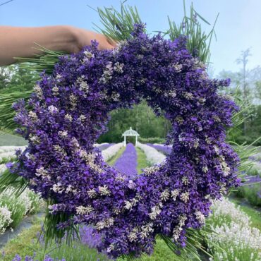 Crescent Valley Lavender