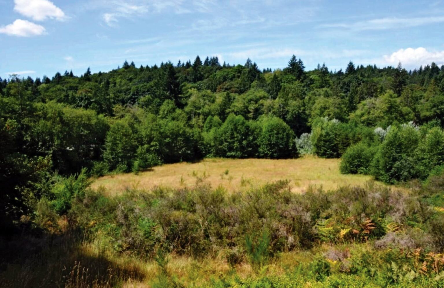 A Visit to... Crescent Valley Lavender Farm Featured, The