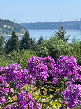 Narrows Bridge from the Fall garden