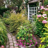 Aromatherapy Garden Borders