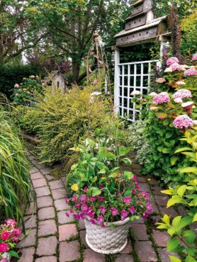 Aromatherapy Garden Borders