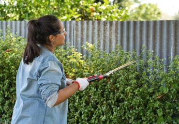 hedge trimming